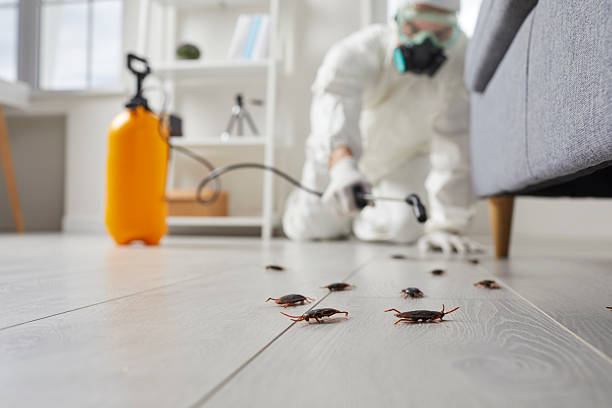 Commercial Rodent Management in Penbrook
